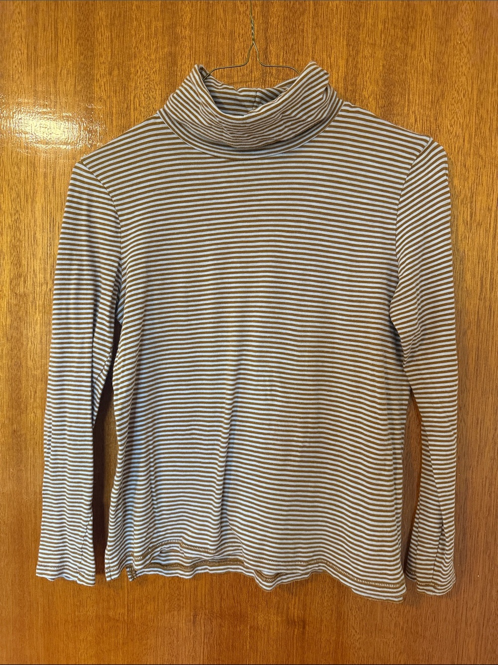 Madewell Striped Turtleneck in Cream and Brown